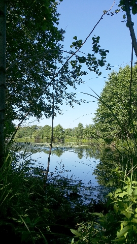 Les_07.07.14-1.jpg