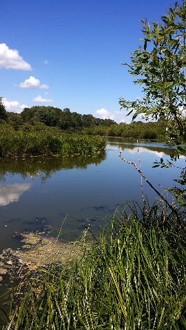 Les_07.07.14-2.jpg