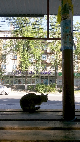 Les_07.07.14-4.jpg