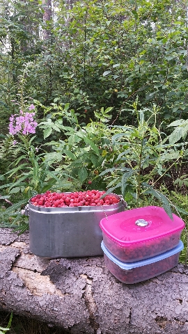 Les_10.07.14-3.jpg