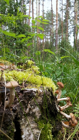 Les_11.07.14-5.jpg