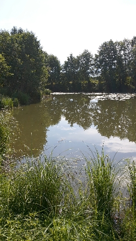 Les_17.07.14-1.jpg