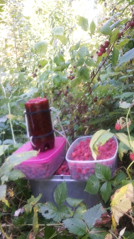 Les_27.07.14-2.jpg