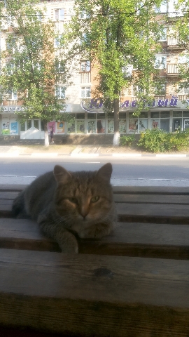 Les_01.08.14-3.jpg
