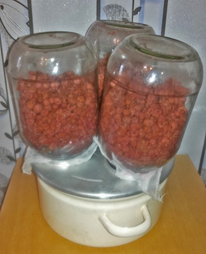 Les09092014-1.jpg