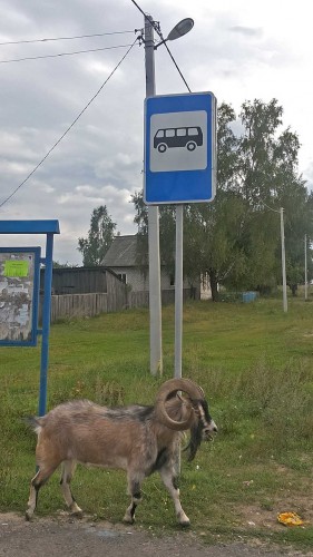 Les_19.08.14-1.jpg