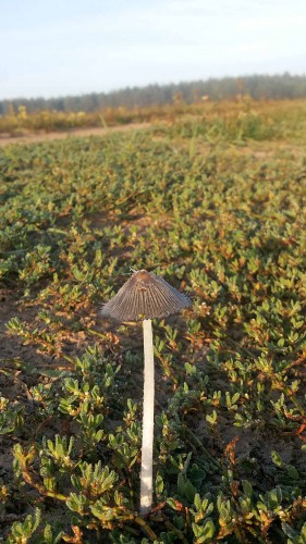 Les_19.08.14-2.jpg