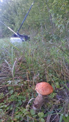 Les_19.08.14-5.jpg