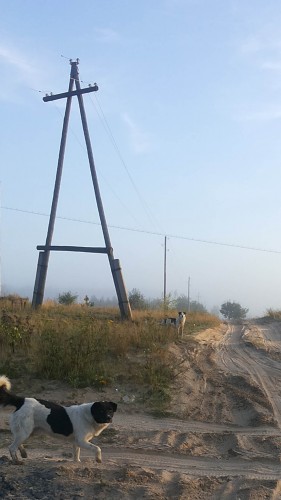 Les_19.08.14-7.jpg
