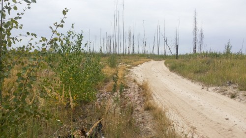 Les27082014-1.jpg