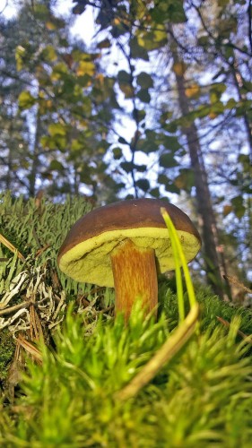 Les_04092014-2.jpg