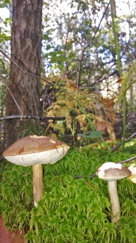 Les_05.08.14-1.jpg