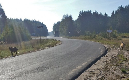 Les_05.08.14-7.jpg
