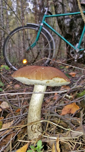 Les_10.09.2014-3.jpg