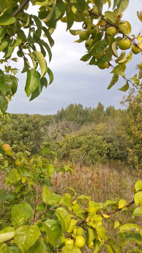 Les_11.09.2014-6.jpg