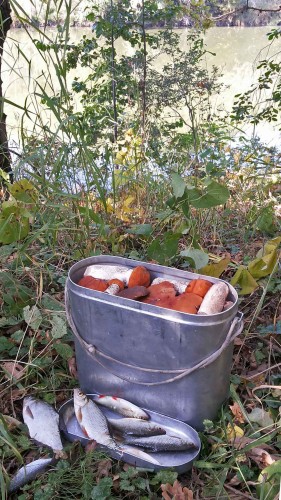 Les_11.09.2014-7.jpg