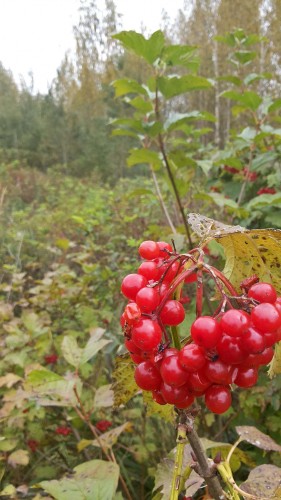 Les_18.09.2014-1.jpg