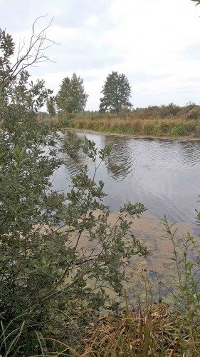 Les_18.09.2014-3.jpg
