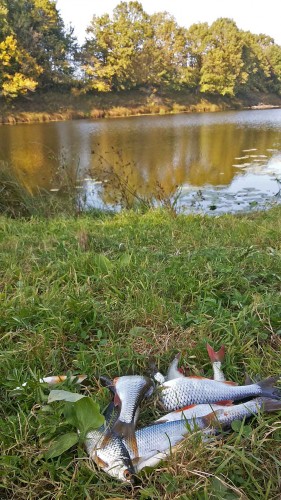 Les_18.09.2014-6.jpg