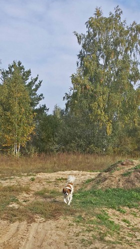 Les_18.09.2014-7.jpg