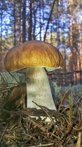 Les_23.09.2014-5.jpg