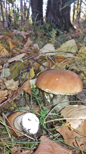 Les_25.09.2014-2.jpg