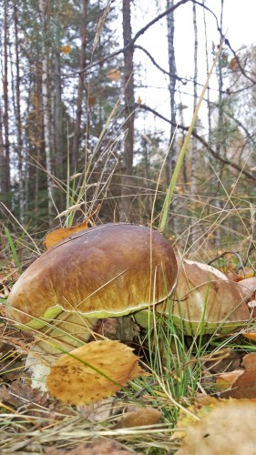 Les_29.09.2014-3.jpg