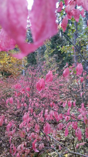 Les_01.10.2014-1.jpg