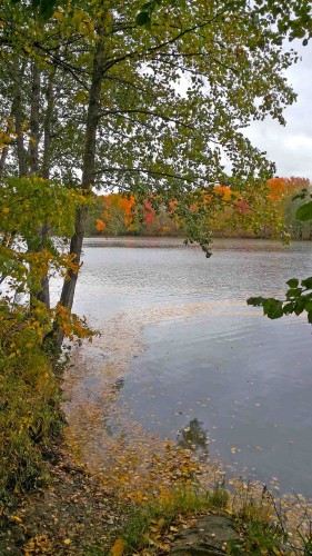 Les_01.10.2014-2.jpg