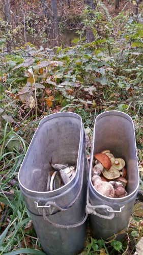 Les_01.10.2014-6.jpg