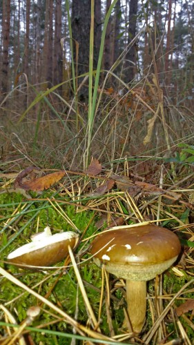 Les_05.10.2014-1.jpg