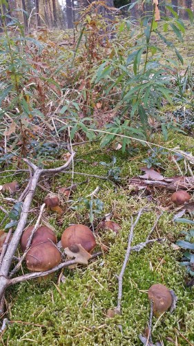 Les_07.10.2014-1.jpg