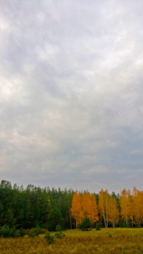 Les_12.10.2014-1.jpg