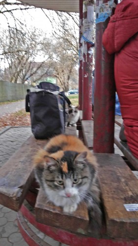 Les_13.10.2014-3.jpg