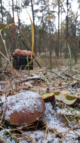 Les_18.10.2014-3.jpg