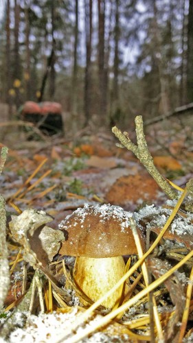 Les_18.10.2014-4.jpg