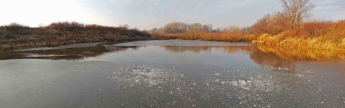 Ryb_31.10.2014-1.jpg