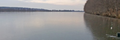 Ryb_04.11.2014-1.jpg