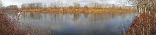 Ryb_04.11.2014-2.jpg