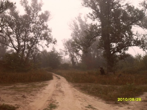 Копия SDC11801.JPG