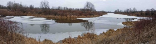 Ryb_17.11.2014-2.jpg