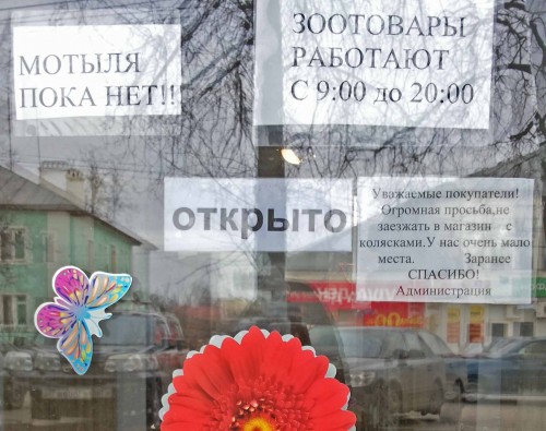 Ryb_17.11.2014-5.jpg