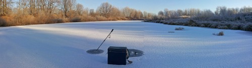 Ryb_19.11.2014-3.jpg