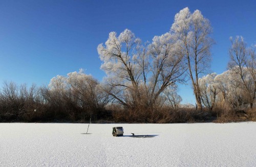Ryb_19.11.2014-4.jpg