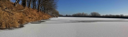 Ryb_19.11.2014-6.jpg