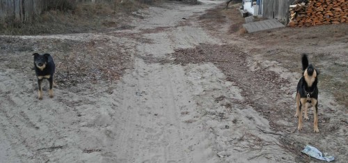Ryb_19.11.2014-9.jpg