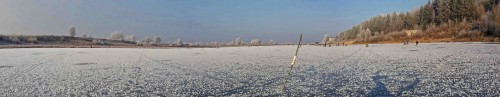 Ryb_22.11.2014-2.jpg