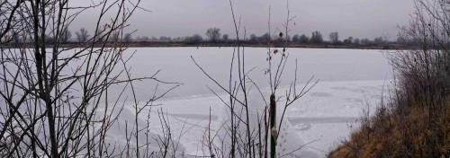 Ryb_27.11.2014-1.jpg