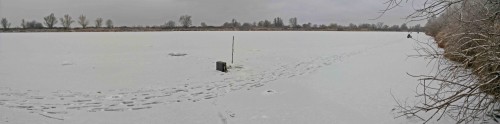 Ryb_29.11.2014-1.jpg