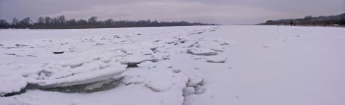 Ryb_01.12.2014-1.jpg